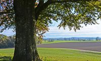 Ausblick-von-Loreto-Kapelle-Richtung-Alpen